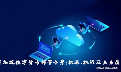 新加坡数字货币部署全景：机遇、挑战及未来展望