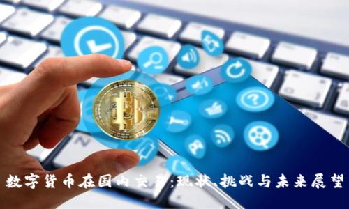 数字货币在国内交易：现状、挑战与未来展望