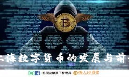中国上海数字货币的发展与前景分析