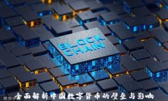 全面解析中国数字货币的壁垒与影响