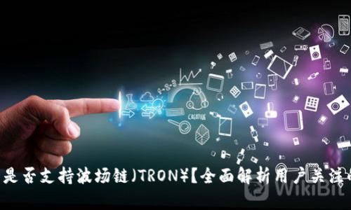 : TPWallet 是否支持波场链（TRON）？全面解析用户关注的功能与应用