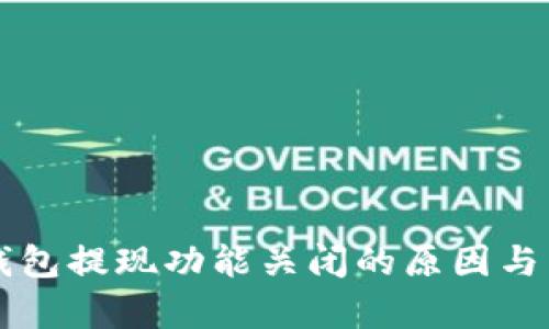 以太坊钱包提现功能关闭的原因与影响解析