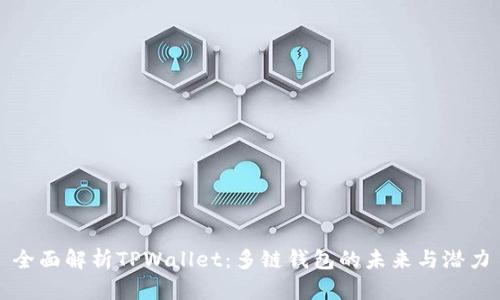 全面解析TPWallet：多链钱包的未来与潜力