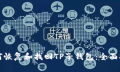 如何恢复和找回TP子钱包：全面指南
