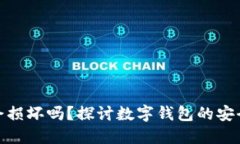 数字货币钱包会损坏吗？探讨数字钱包的安全性
