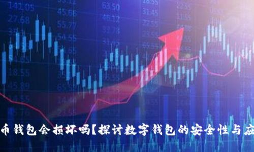 数字货币钱包会损坏吗？探讨数字钱包的安全性与应对措施