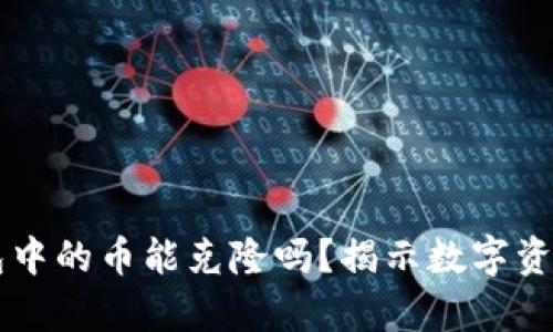 以太坊钱包中的币能克隆吗？揭示数字资产安全真相