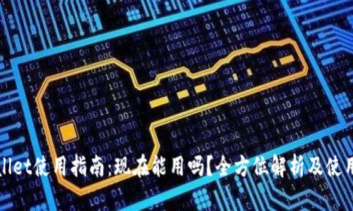 TPWallet使用指南：现在能用吗？全方位解析及使用技巧