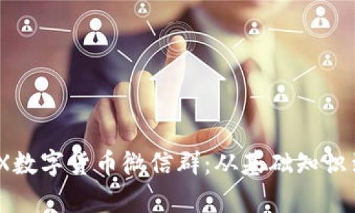 如何有效参与MDX数字货币微信群：从基础知识到交易策略全解析