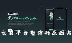 数字货币交易平台暂停的原因与影响分析
