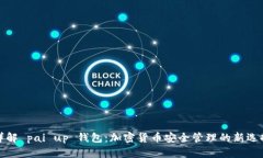 详解 pai up 钱包：加密货币安全管理的新选择