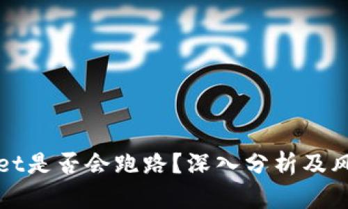 TPWallet是否会跑路？深入分析及风险评估