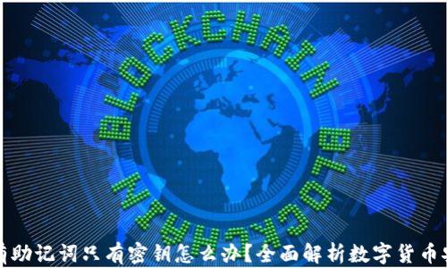 
钱包没有助记词只有密钥怎么办？全面解析数字货币安全策略