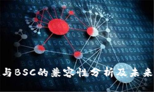 tpwallet与BSC的兼容性分析及未来发展趋势