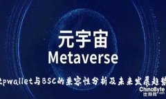 tpwallet与BSC的兼容性分析及未来发展趋势