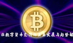 南非数字货币支付的未来发展与趋势解析