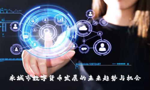 永城市数字货币发展的未来趋势与机会