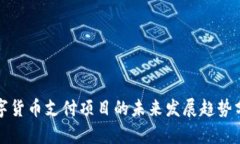 数字货币支付项目的未来发展趋势分析
