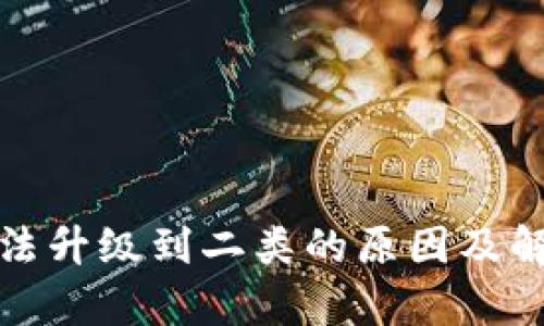 数字钱包无法升级到二类的原因及解决方案解析