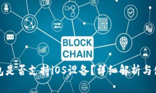 : TP钱包是否支持iOS设备？详细解析与使用指南