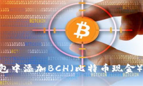 如何在TP钱包中添加BCH（比特币现金）币：详细指南