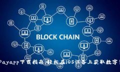 CGPayapp下载指南：轻松在iOS设备上获取数字货币